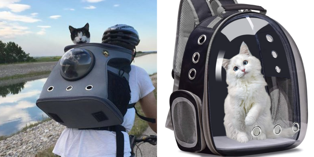 Bubble Cat Backpack The Perfect Way To Take Your Kitten On The Go